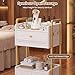 Spa Salon Trolley with Storage Cabinet, Rolling Beauty Cart for Professional Spa & Salon Use, Mobile Esthetician Cart for Skincare, Facial & Treatment Supplies (White)