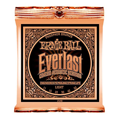 A[j[{[ ERNIE BALL 2548 Everlast Coated PHOSPHOR BRONZE LIGHT AR[XeBbNM^[ ×12Zbg