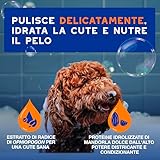 DOUXO B0F8HW745J lato 2