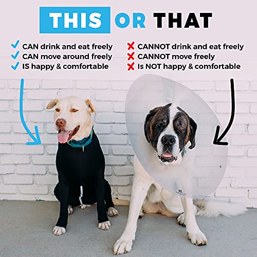 Image of Shed Defender Original Dog Onesie for Shedding Control - Seen on Shark Tank, Lightweight Breathable Dog Suit, Bodysuit for Dogs, Recovery Suit, Anxiety Relief, Full Coverage, Easy On /Off, Dog Jumpsuit