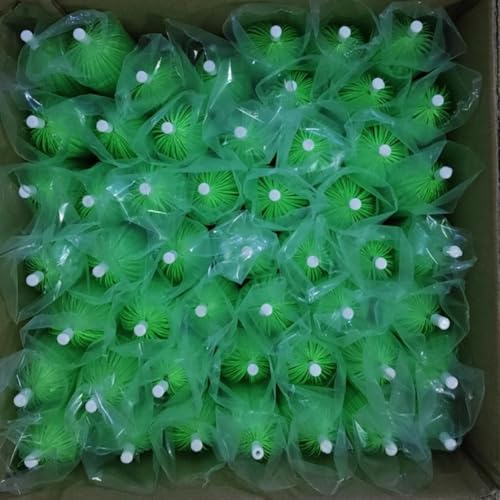 Rygcrud 50 Cepillos para Filtros de Estanque 40cm miniatura 6