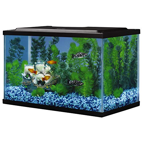 Tetra NV52014 Glass Aquarium 5.5 Gallons, Rectangular Fish Tank thumb #2