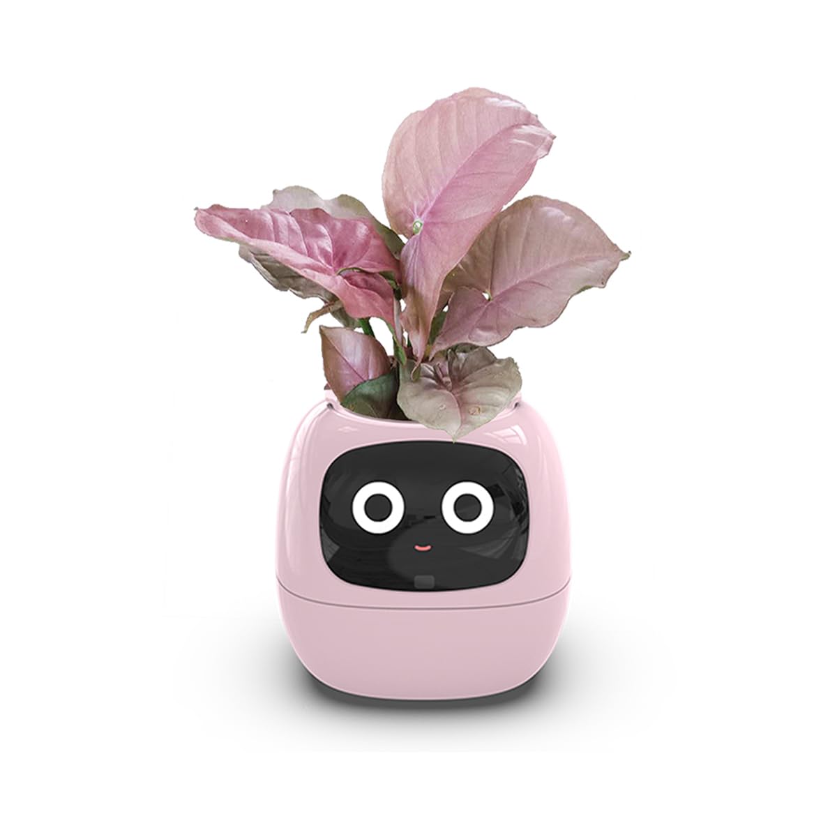 TPHRAVAL Maceta inteligente, capullo electrónico, asistente de plantas de mantenimiento, maceta interactiva divertida, monitoreo de plantación verde en interiores, pantalla LCD, conexión de aplicación