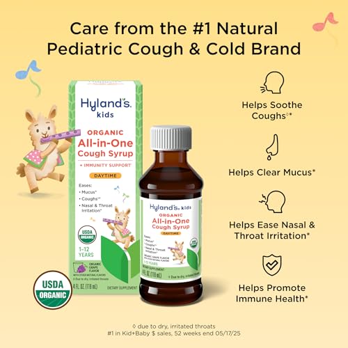 Image of Hyland's Kids Cough Syrup All-in-One for Daytime, Organic (Grape) 4 fl oz