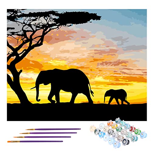 TONZOM Peinture par Numéros, Peinture à l'huile sur Toile Éléphant au Coucher du Soleil pour Adultes et Débutants 40x50 cm Décoration de la Maison Sans Cadre