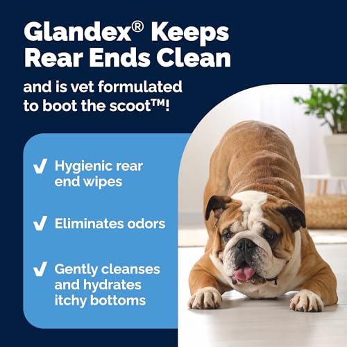 Vetnique Glandex Dog Wipes for Pets Cleansing & Deodorizing Anal Gland Hygienic Dog & Cat Wipes with Vitamin E, Skin Conditioners and Aloe (75ct)