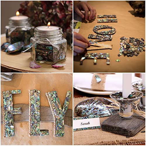 Abalone (Pāua) Shell Pieces For Crafts, Jewelry Making, Resin Art, Inlay, Home Decorations, Fishtank Supplies, Diy Projects - Satin,Large-1.59"-2.55"- 7.05Oz (200Grams) #TOP1