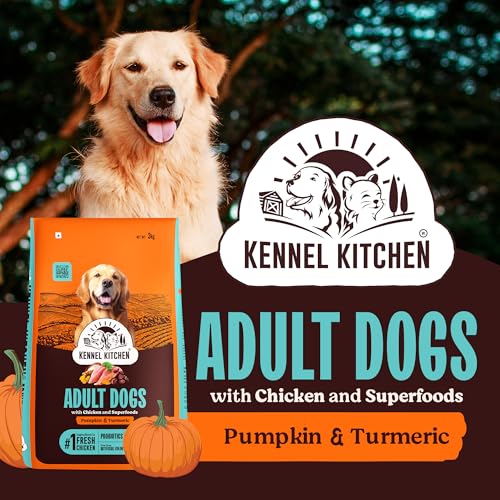 Image of Kennel Kitchen Dry Dog Food Adult 100g | Fresh Chicken with Superfoods - Pumpkin & Turmeric | Probiotics for Digestive Support | No Artificial Colors or Flavours | Complete & Balanced for All Breeds