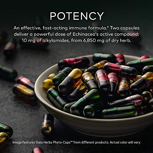 Gaia Herbs Quick Defense - Fast-Acting Immune Support Supplement For Use At Onset Of Symptoms - With Echinacea, Black Elderberry, Ginger & Andrographis - 40 Vegan Liquid Phyto-Capsules (4-Day Supply) #TOP2