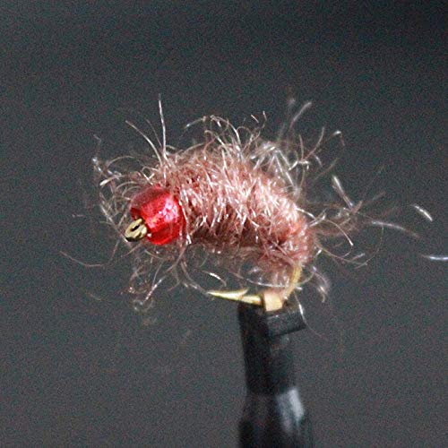 L-MEIQUN, 36pcs / Set Promozione Stained Perle di