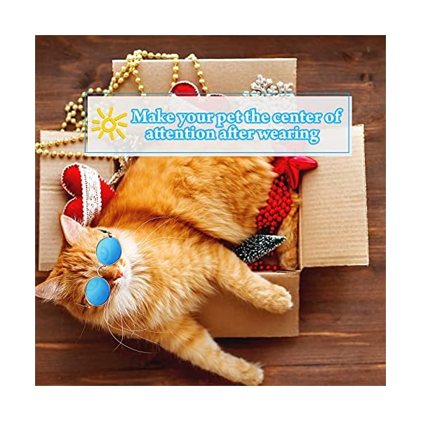 15 pieces small pet sunglasses retro dog sunglasses round metal puppy sunglasses cosplay glasses photo props eyewear for cats and small to medium sized dogs - image 4