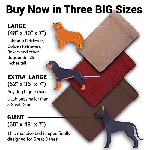 big barker dog bed amazon