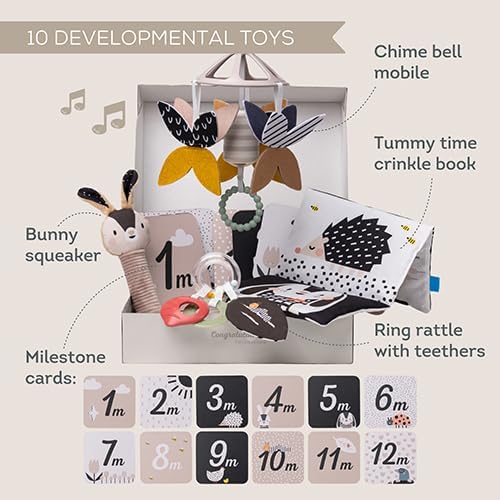 Taf Toys Black & White Newborn Gift Set. 10 High-Contrast Baby Toys for Newborns Includes Mobile Sensory Book Rattle & More. Essential Tummy Time Toys. Ideal for Infants Boys & Girls 0 Months + - Image 3