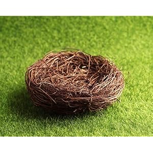 Exasinine 10 Pcs 5.5'' Artificial Bird Nest for Crafts, Easter, Party, Wedding, Patio Garden, Succulent Planter, Moss Landscape, DIY Terrarium and Spring Vignettes (5.5 Inches) Exasinine 10 Pcs 55 Artificial Bird Nest for Crafts Easter Party Wedding Patio Garden Succulent Planter Moss Landscape DIY Terrarium and Spring Vignettes 55 Inches