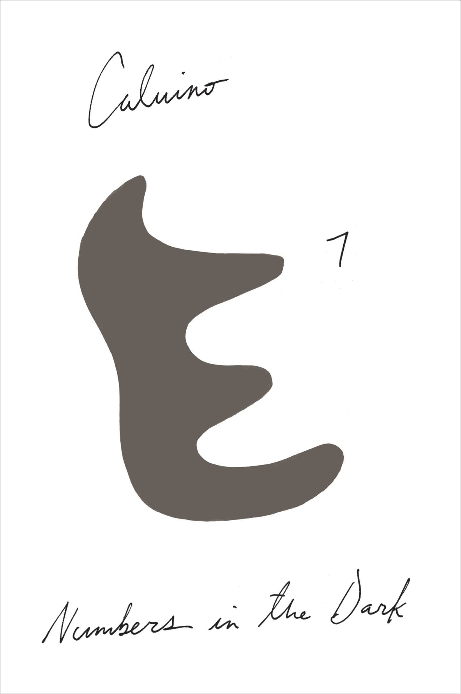 Numbers In The Dark cover