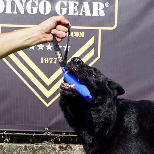 Dingo Gear Baumwolle-Nylon Beißwurst für Hundetraining IGP IPO Obiedence Schutzhund Hundesport, 15 x 5 cm, 1 Griff Blau S00060