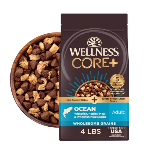 Image of Wellness CORE+ Adult Dry Dog Food with Freeze Dried Pieces, Wholesome Grain Kibble+, Natural, High Protein, Chicken Free, Whitefish, Herring, and Salmon Recipe, 4 lb Bag