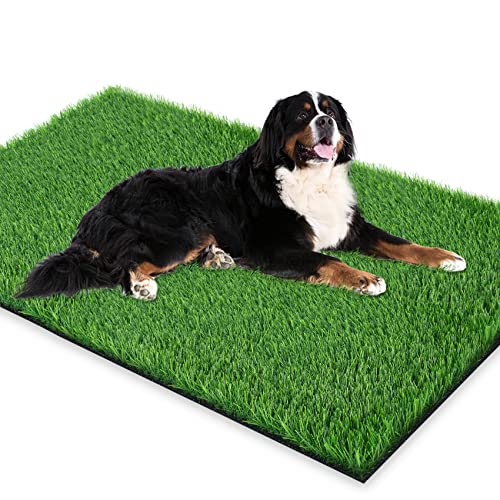 Image of GLOBREEN Extra Large Artificial Grass for Dogs to Pee, Potty Training, Whelping, Puppy Fake Grass for Outdoor, Patio, Indoor, High Drainage, 59.1 inch x 31.5 inch