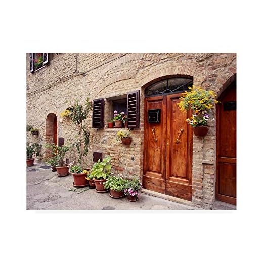 Trademark Fine Art Flowers On The Wall Tuscany Italy Color by Monte Nagler, 18x24