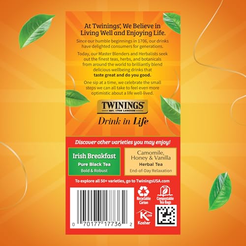 Twinings Extra Strong English Breakfast Black Tea Individually Wrapped Bags, 20 Count (Pack of 6), Robust, Caffeinated, Enjoy Hot or Iced, 120 Teabags