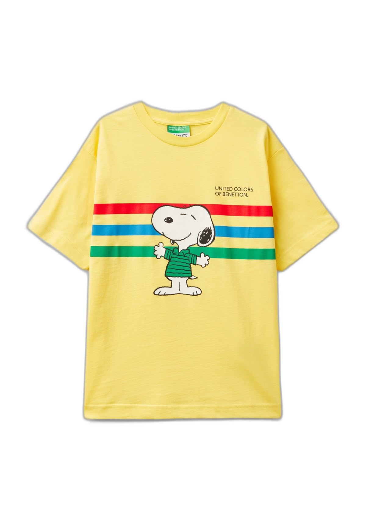 Renk Bloklu Peanuts Baskılı T-Shirt T-Shirt Erkek çocuk