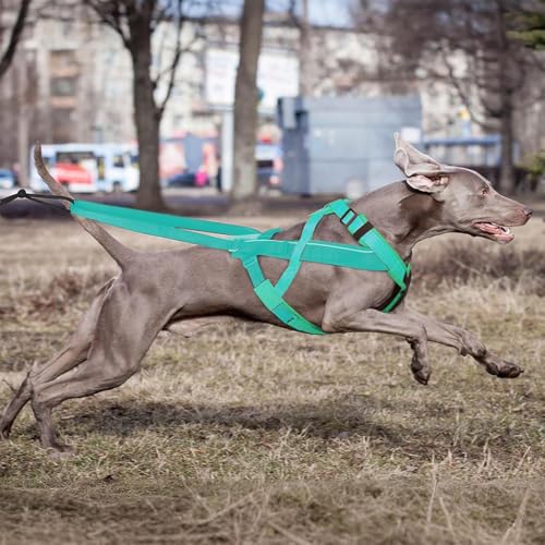 Schlittenhund Geschirr | Reflektierendes Laufgeschirr Für Hunde - Komfortables Verstellbares Gurtzeug Für Schlitten Training Outdoor Aktivitäten