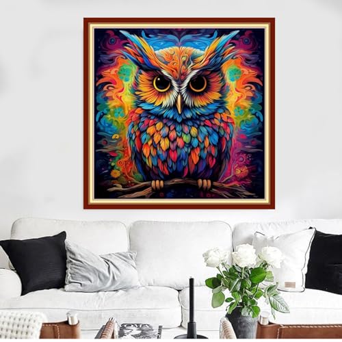 Image of Redxing Stamped Cross Stitch Kits Full Range of Embroidery Starter Kits- Needlepoint Counted Cross Stitch Kits for Beginner Adults 11CT Printed Embroidery Kit-Magic Owl 18x18 inch
