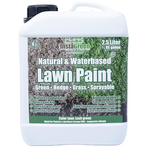 What Causes a Smelly Washing Machine and How to Solve It | Expert Tips