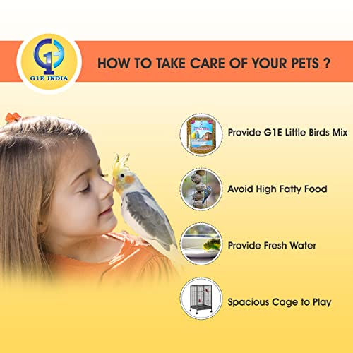 Image of Hand-Selected Seed Mix for All Life Stages Dry Bird Food for Little Birds - Little Birds Mix Seeds 900 Grams - Pack of 4 (3600 Grams)