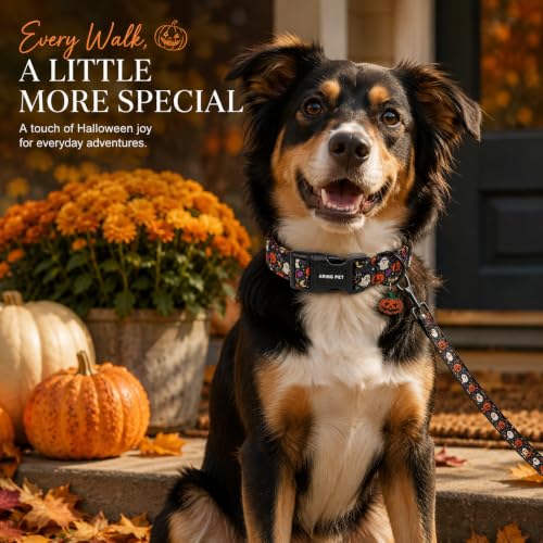 Image of ARING PET Halloween Dog Collar for Puppy Small Medium Large Dog-Black L | Cute Festival Spooky Night Doggy Collars for XS S M L XL Boy Girl Dog, Ghost Pumpkin, Soft Comfy Sturdy, Trick or Treat Party