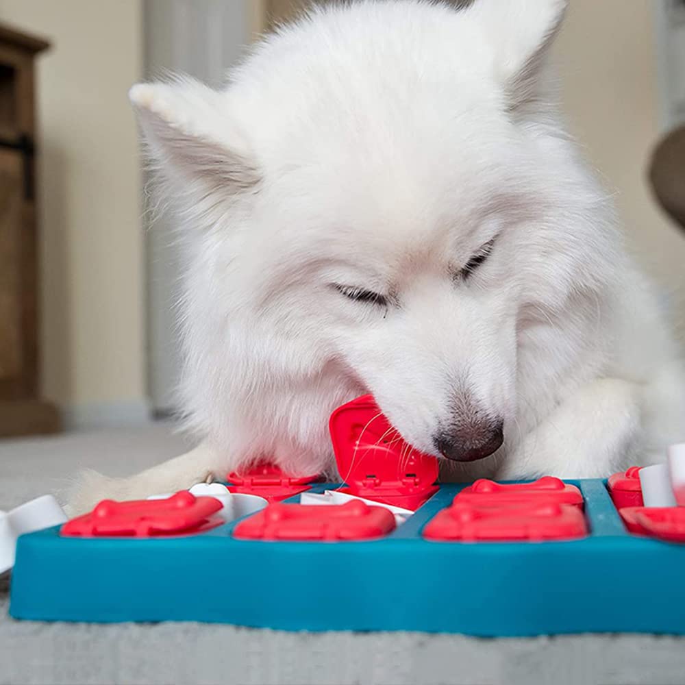 Interaktives Spielintelligenz-Spielzeug Für Hunde Und Mobile Schatzkiste Haustierspielzeug Hundezubehör Hundebedarf