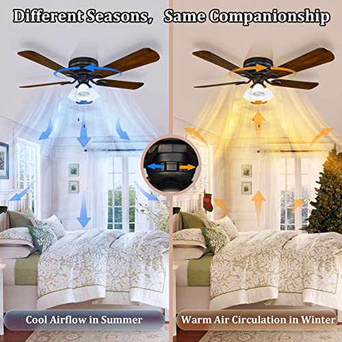 Brightever 52" Ceiling Fans With Lights Flush Mount, Farmhouse Ceiling Fan Light With 5 Reversible Walnut Blades, 3 Frosted Light Shades And Led Bulbs Included, Noiseless Motor Ceiling Fan For Bedroom #TOP3
