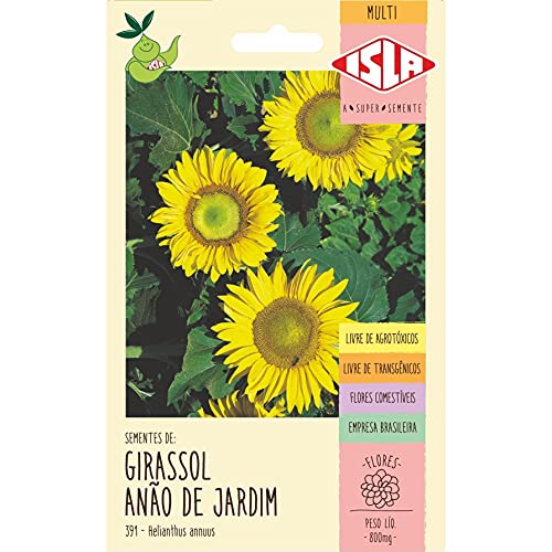 Sementes Girassol de Jardim Anão Sem Agrotóxico Isla