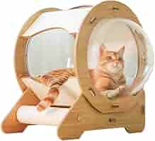 猫ベッド　コンテナハウス Amazon | Bonarca 宇宙船ハウス キャットハウス 木製 猫 ハウス