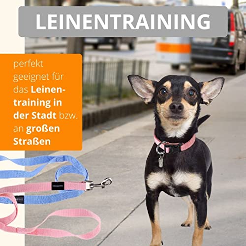 Welpen Set (Puppy Set) Von Amathings Welpenhalsbänder und Leine in Hellblau und Hellrosa Welpenhalsbänder & Leine