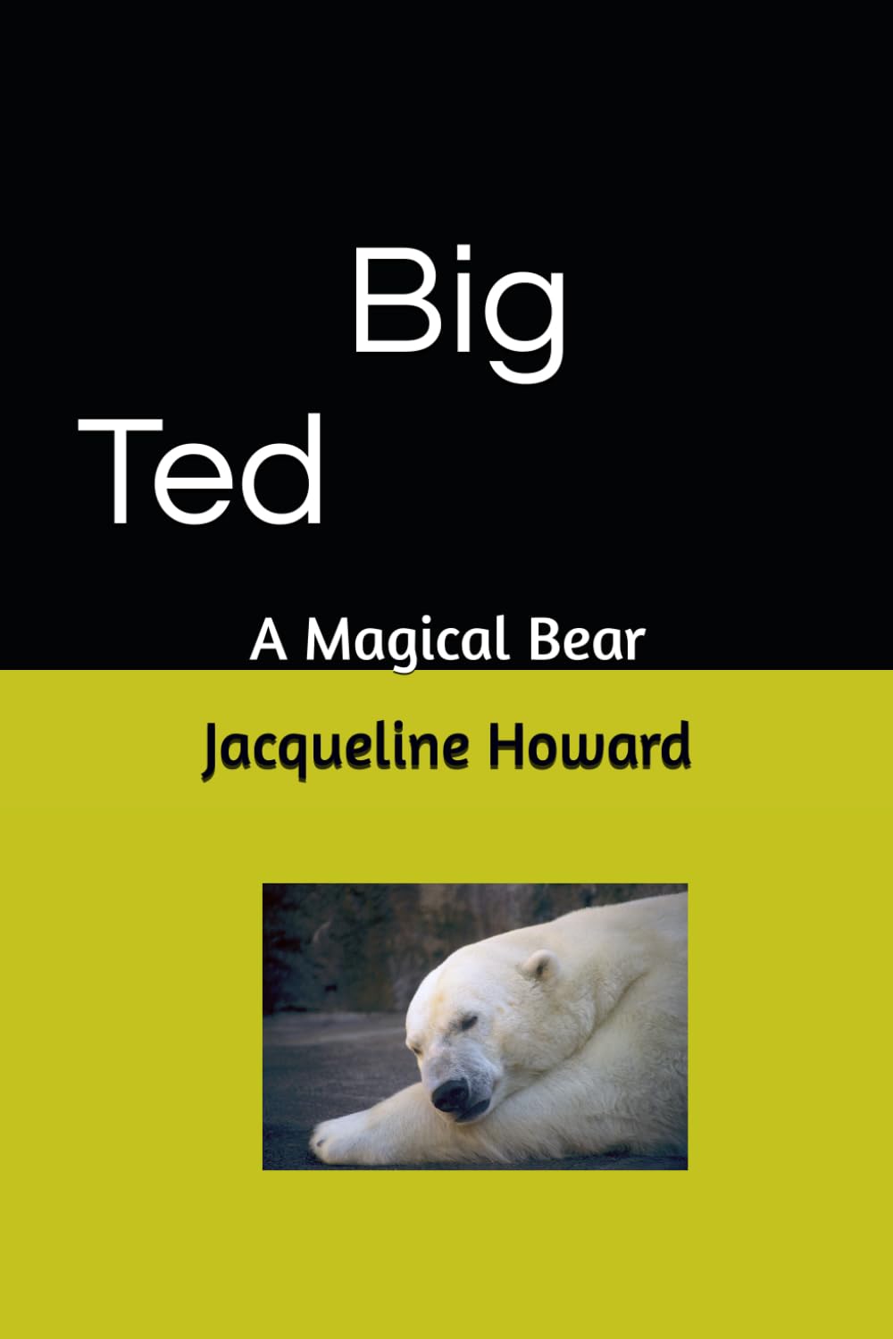 Big Ted: A Magical Bear