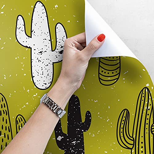 Papier peint muraux cactus mexicain 152x104cm pour décoration meuble chambre et salon