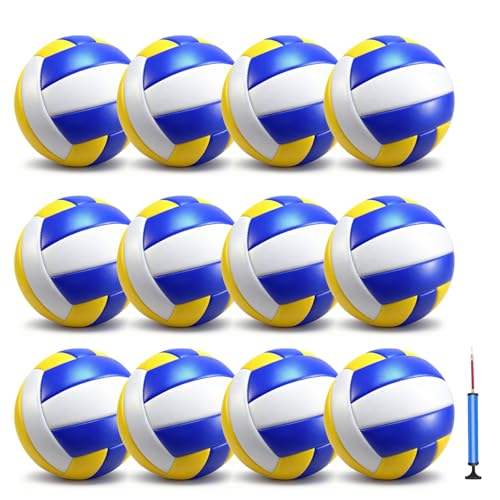 jiaonun 12 Pack Regulation Size 5 Volleyballs for Women and Men Outdoor or Indoor with Pump