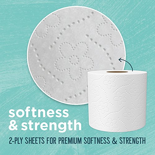 Seventh Generation Toilet Paper, Bath Tissue, 100% Recycled Paper, (Packaging May Vary), 12 Rolls (Pack Of 2) #TOP3