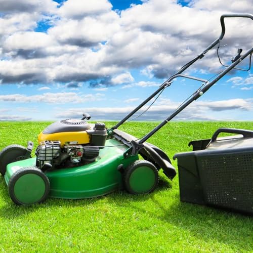 2 Sets Rasenmäher Griffe Schraube, Rasenmäher Ersatzteile Inklusive Dreiecks knopf muttern Schraub Bolzen Rasenmähergriff Flügelmutter Bolzen Schraubensätzen für Rasenmäher Rasenmähermodelle (Schwarz)