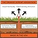Orange Screw Ultimate Ground Anchors: Heavy Duty Screw-in Tent Stakes for High Wind, Sand, Canopies, and Camping - Made in USA, Included T-Grip Tool - (Large, 2 Pack, Orange)