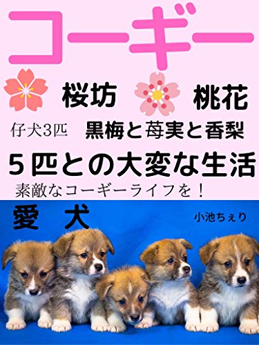 aikennko-gi-tieriipiitikoinusannbikipuramutomaitorinngohikitonotaihennnaseikatu (Japanese Edition)