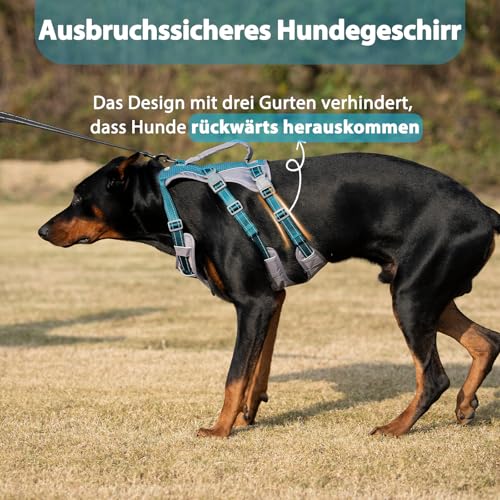 Huntboo Sicherheitsgeschirr Hund Ausbruchsicher, Panikgeschirr für Hunde, Reflektierendes Geschirr Hund mit Griff, Verstellbare Hundegeschirr für kleine, mittelgroße und große Hunde (Blaugrün,M)