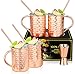 Chesnia Moscow Mule Mugs - Set di 4 tazze in rame, martellate e realizzate a mano, capacità ideali per qualsiasi bevanda fredda, set regalo per barman (450 ml)