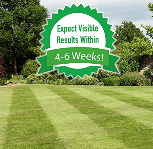 Peterals 200 grammi - Rocce minerali completamente...