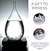 FLT Storm Glass Weather Predictor - Weather Monitor & Forecaster – Creative Unique Drop Bottle Barometer - Home Office Decor Lamp Decorative Craft Piece, Gift Idea for Every Occasion