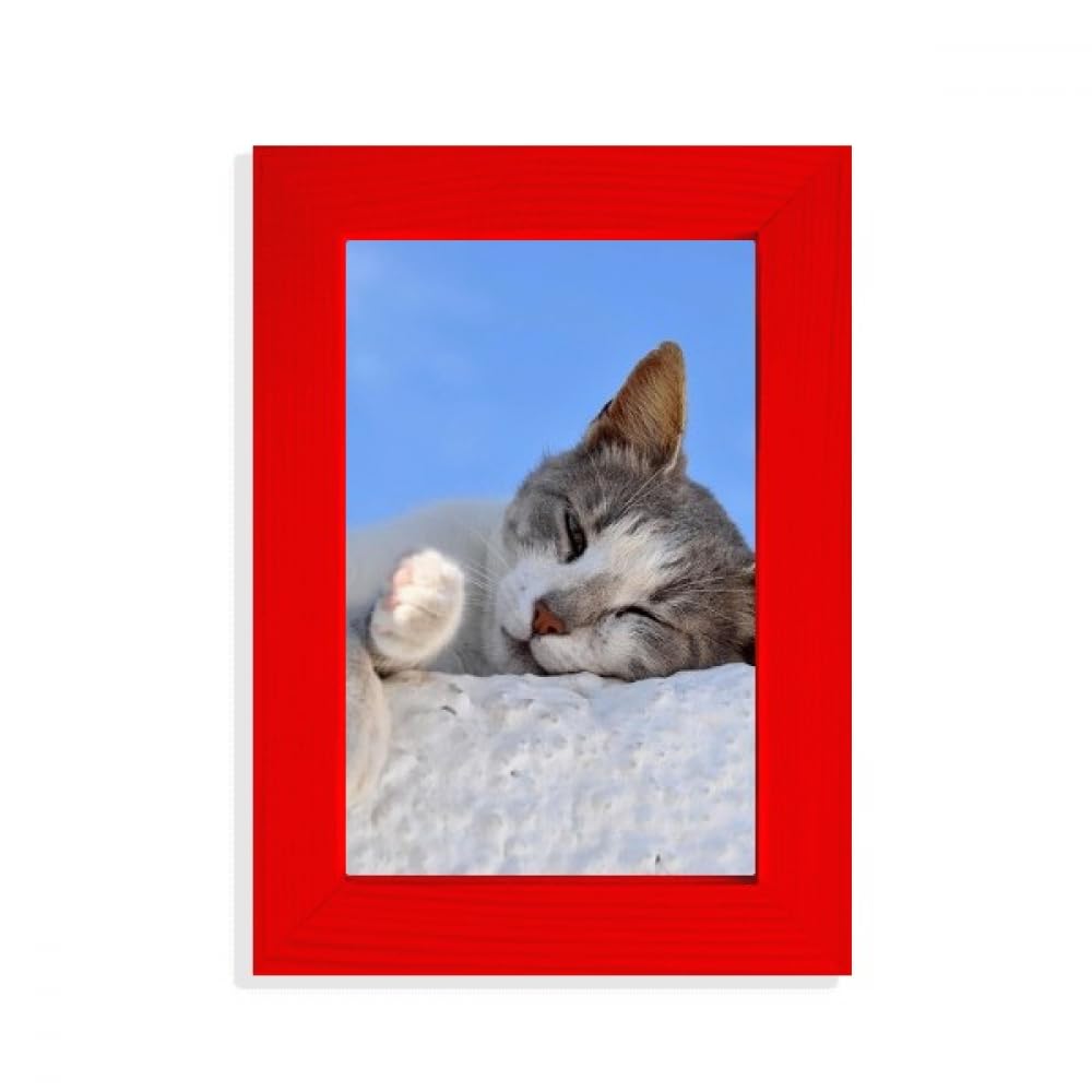Cadre photo pour chat rouge décoration murale et support image animal