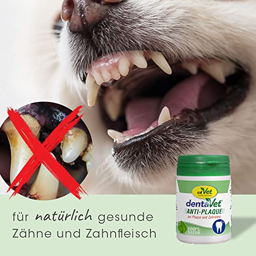 dentaVet Anti-Plaque Pulver 50g für Hunde und Katzen - Natürliche Zahnpflege & Zahnreiniger gegen Zahnbelag