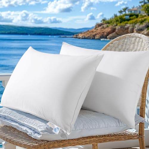 LBRO2M Canadian Fluffy Goose Down Pillow Queen Size 900 Fill Power 80% Goose Down 20% Goose Feather Bed Pillow with 100% Cotton, Teflon Finish Shell Down Pillows Plush and Support (20"X30" Set of 2)