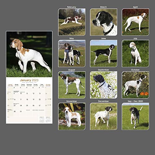 2022 2023 Pointer Calendar - Dog Breed Monthly Wall Calendar - 12 X 24 Open - Thick No-Bleed Paper - Giftable - Academic Teacher's Planner Calendar Organizing & Planning #TOP1